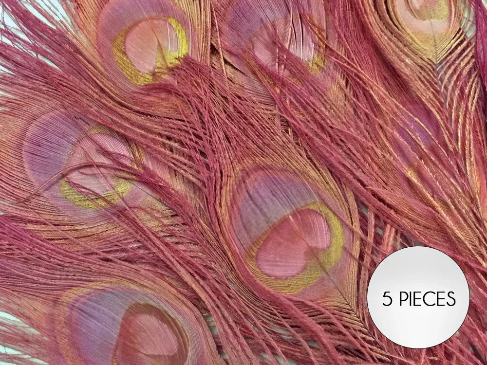 Set of 5 pink dyed peacock feathers for crafts and fashion decor.