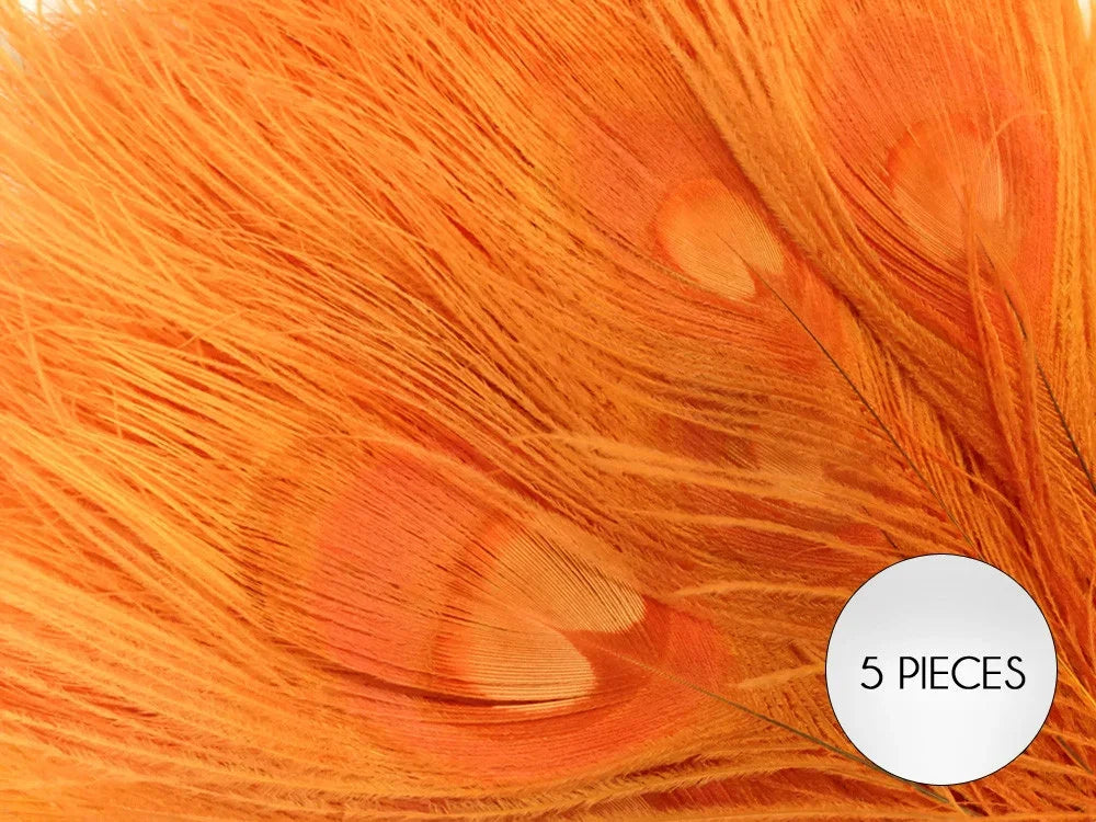Set of 5 vibrant orange peacock feathers for crafts and DIY fashion decor.