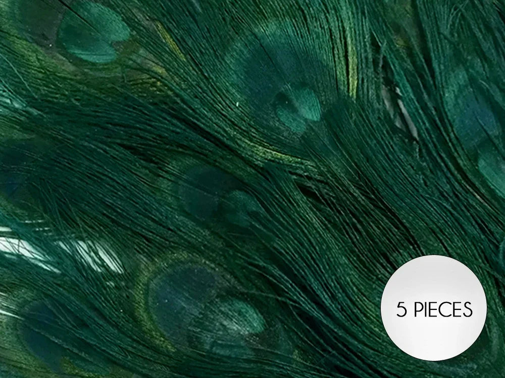 Set of 5 vibrant green peacock feathers for crafts and fashion decor.