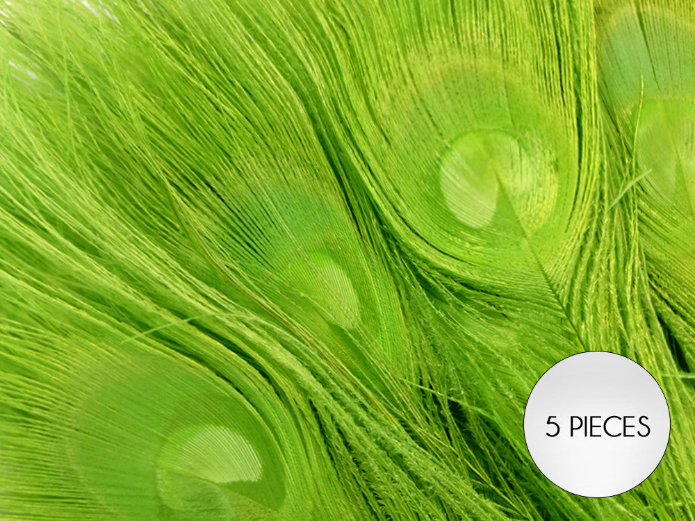 5 Pieces – Lime Green Bleached & Dyed Peacock Tail Eye Feathers 10-12” Long