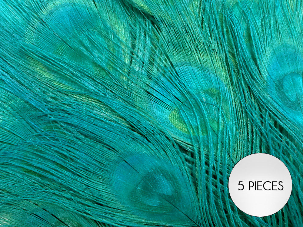 5 Pieces – Peacock Green Bleached & Dyed Peacock Tail Eye Feathers 10-12” Long