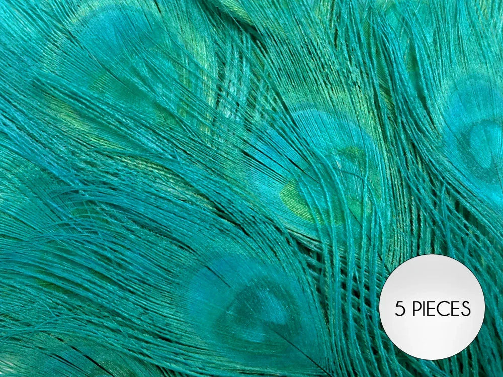 Set of 5 vibrant teal peacock feathers for DIY crafts and fashion decor.