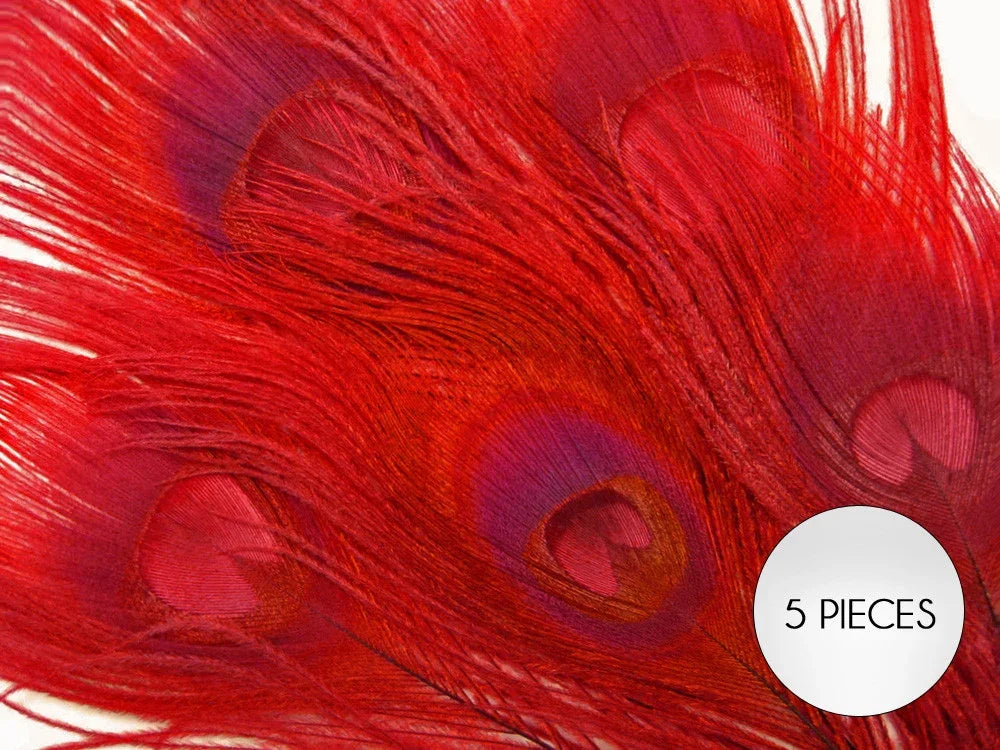 Set of 5 vibrant red dyed peacock feathers for crafts and fashion decor.