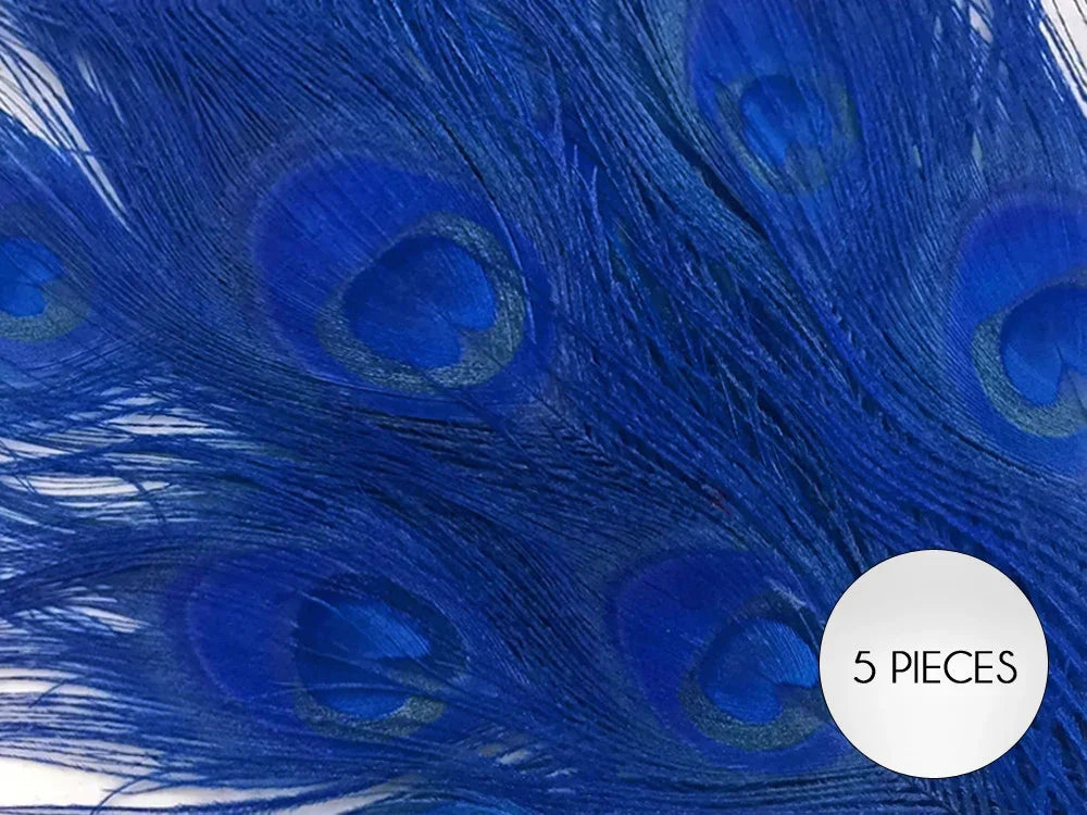 Set of 5 vibrant blue peacock feathers for crafts and fashion decor.