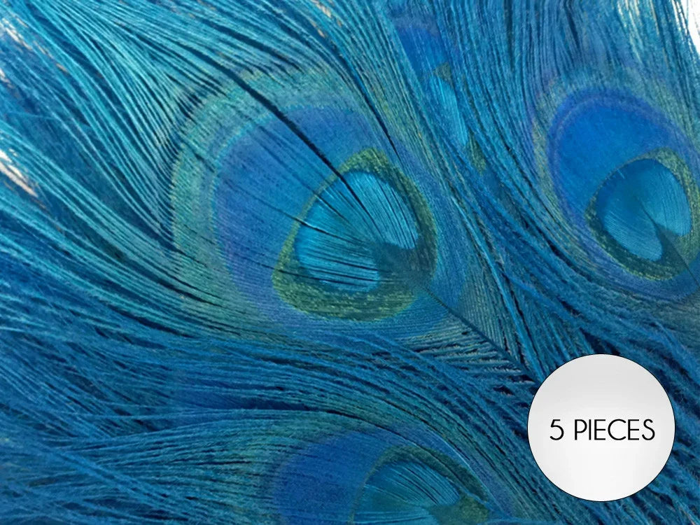 Set of 5 vibrant blue peacock feathers for crafts and fashion decor.