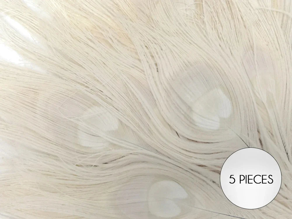 Set of 5 creamy white decorative feathers for crafts and fashion decor.