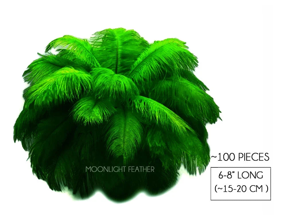Vibrant green ostrich feathers for crafts and fashion decor, 100 pieces, 6-8 inches long.