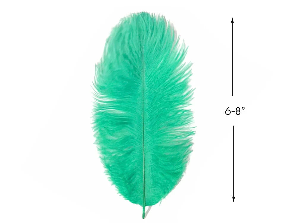 Single vibrant teal green craft feather, 6-8 inches in length, isolated on white background.