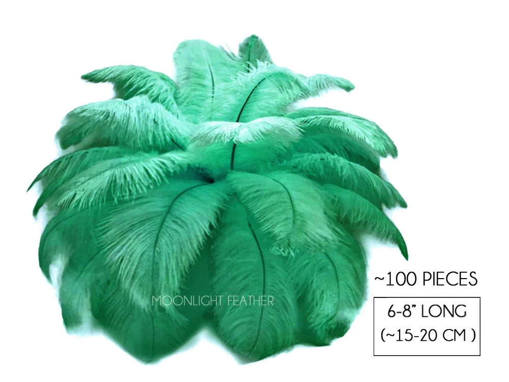 Set of 100 mint green ostrich feathers, 6-8 inches long, for DIY crafts and fashion decor.