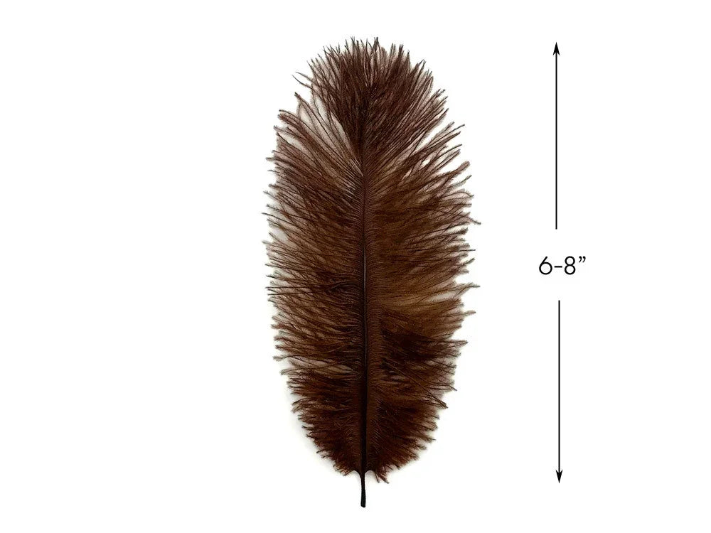 Single brown craft feather measuring 6-8 inches for DIY fashion and decor.