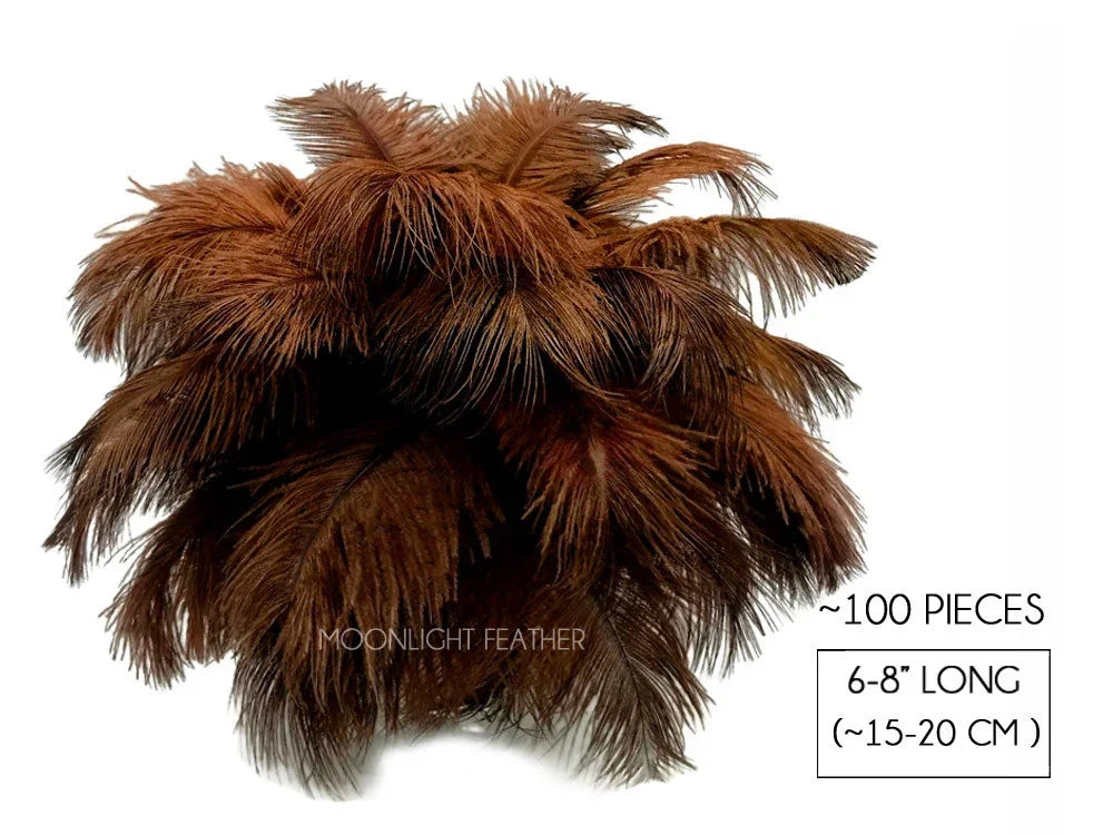 Bundle of 100 brown ostrich feathers, 6-8 inches long, for DIY crafts and fashion decor.