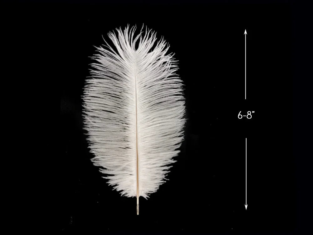 Single white ostrich feather for crafts and fashion, 6-8 inches long on black background.