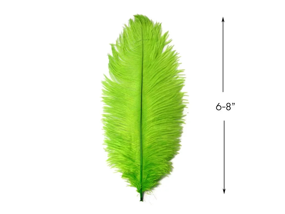 Single vibrant lime green feather, 6-8 inches long, for crafts and fashion DIY.