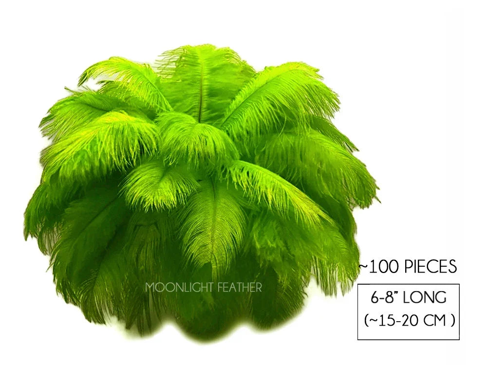 Vibrant lime green ostrich feathers, 6-8 inches long, 100 piece bulk pack for DIY crafts.