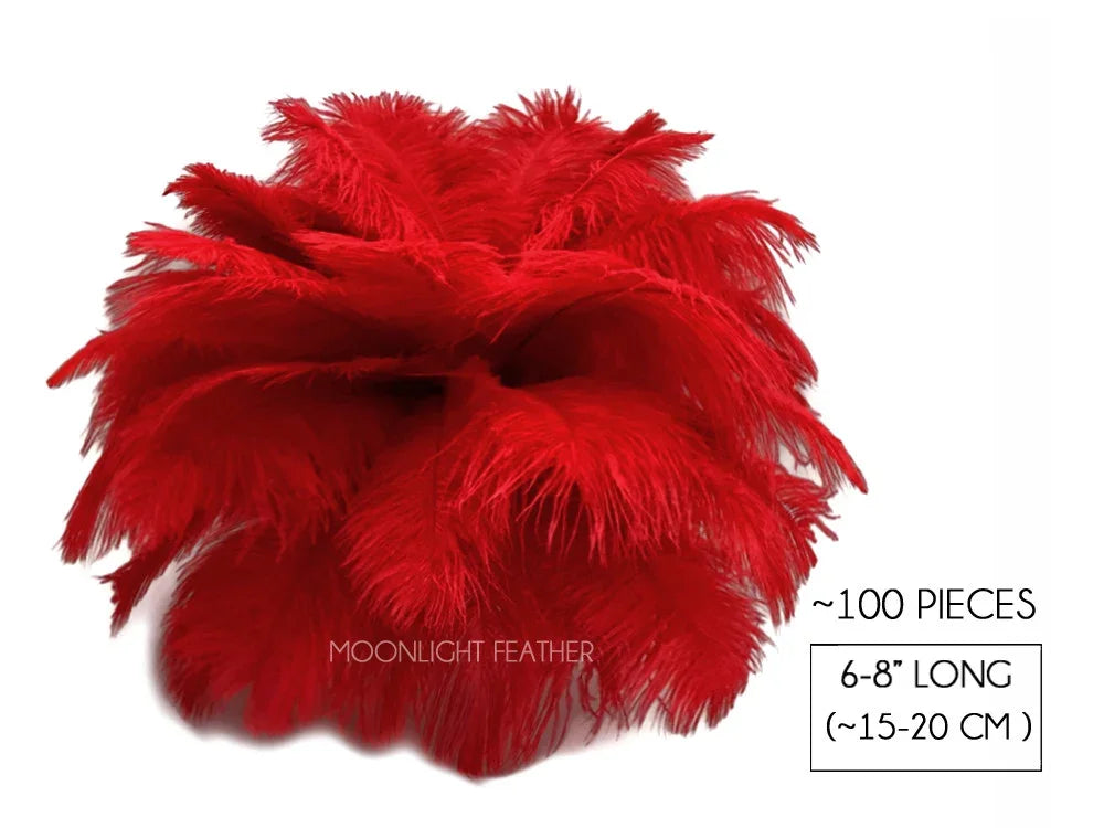 Vibrant red feathers for DIY crafts and fashion decor, 6-8 inches long.