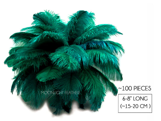 100 Pieces - 6-8" Peacock Green Ostrich Drabs Body Wholesale Feathers (Bulk)