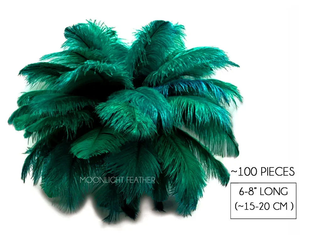 Bundle of 100 teal green ostrich feathers, 6-8 inches long for crafts and fashion DIY.