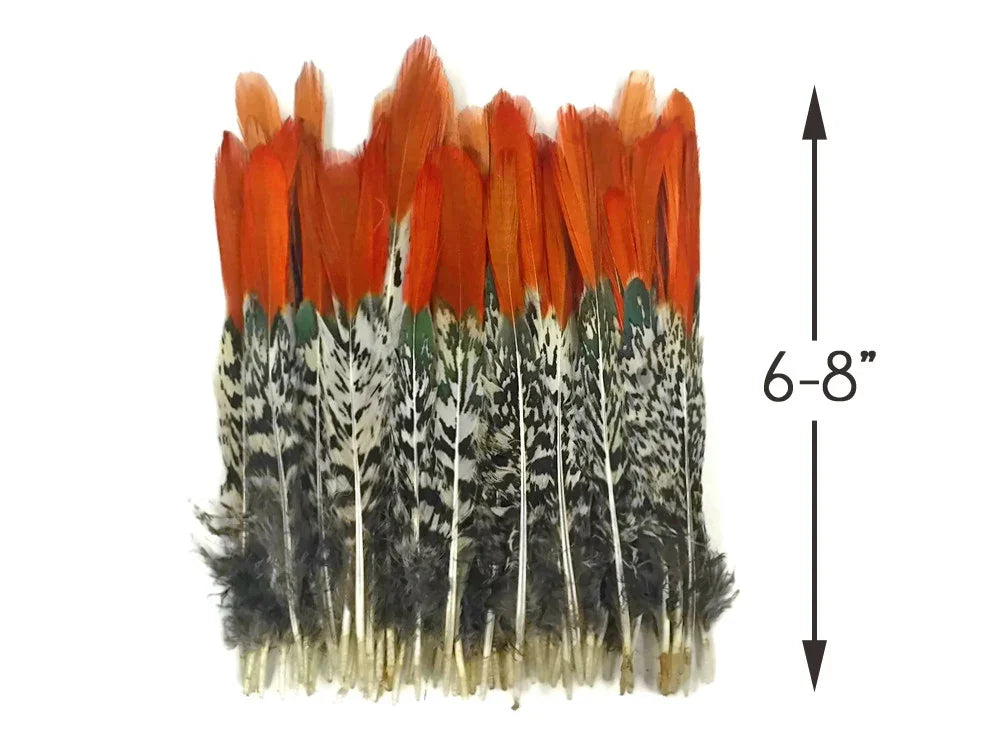Orange and patterned grey feathers for crafts, 6-8 inches in length.