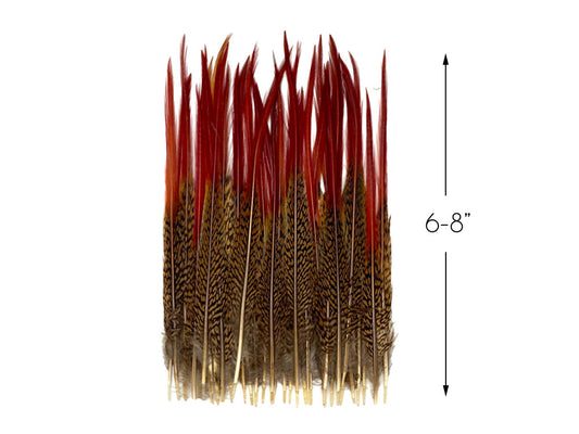 10 Pieces - 6-8" Natural Red Golden Pheasant Red Tip Loose Pointy Feathers
