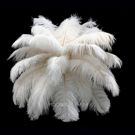 1/2 Lb. - 19-24" Off White Ostrich Extra Long Drab Wholesale Feathers (Bulk)