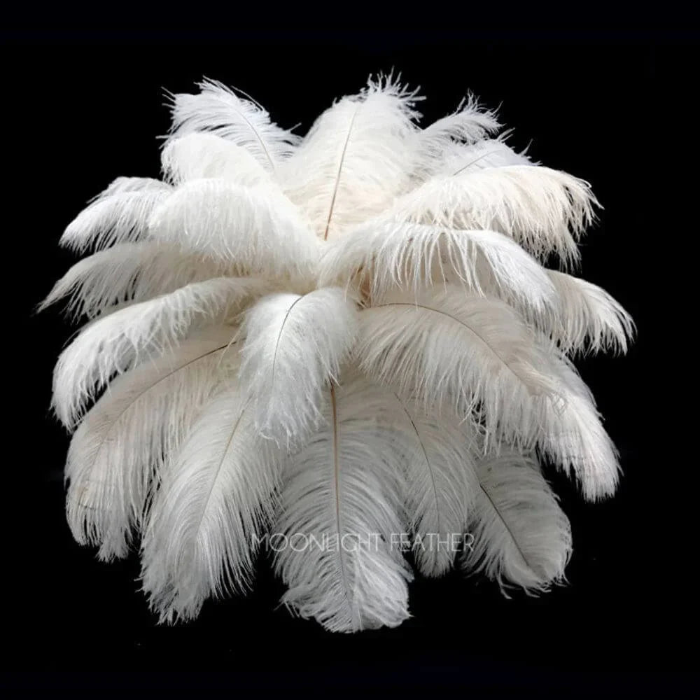 Elegant white ostrich feathers arranged in a decorative plume against a black background.