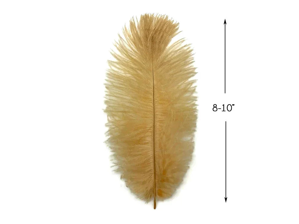 Single beige ostrich feather for crafts and decor, 8-10 inches long.