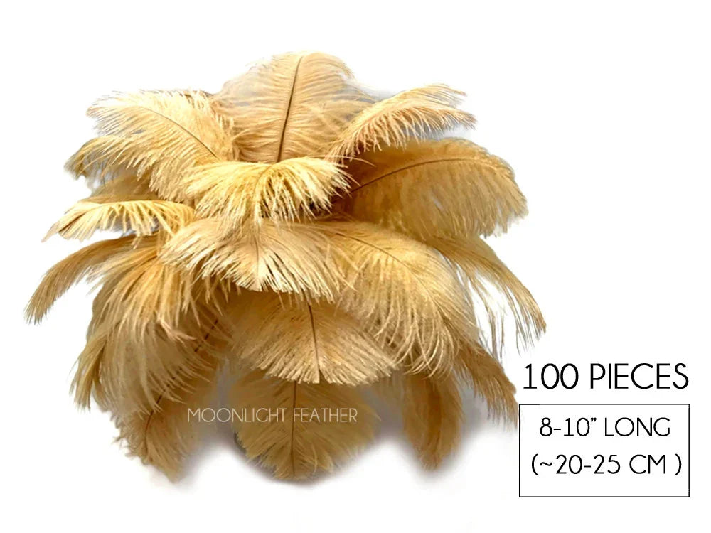 100 pieces of 8-10 inch long cream ostrich feathers for crafts and DIY decor.