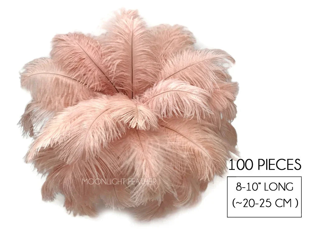 100 pieces of soft pink ostrich feathers, 8-10 inches long for DIY crafts and decor.