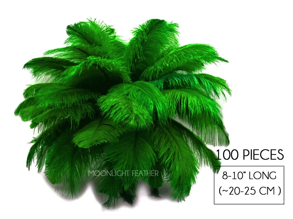 100 pieces of vibrant green ostrich feathers, 8-10 inches long for crafts and décor.