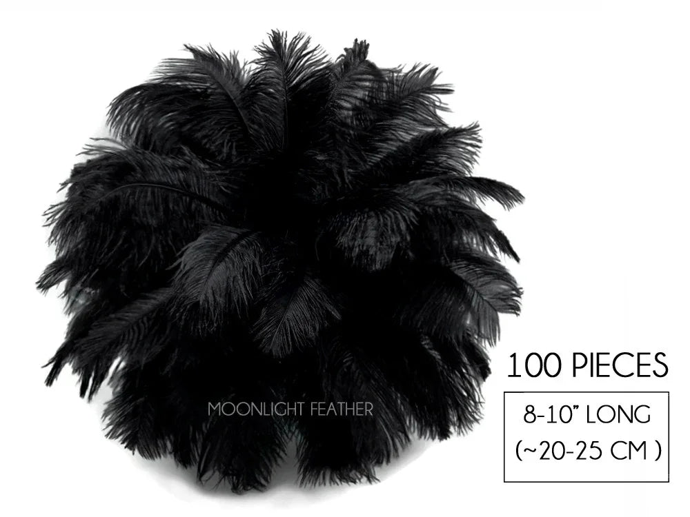 100 pieces of 8-10 inch long black feathers for crafts and fashion DIY supplies.