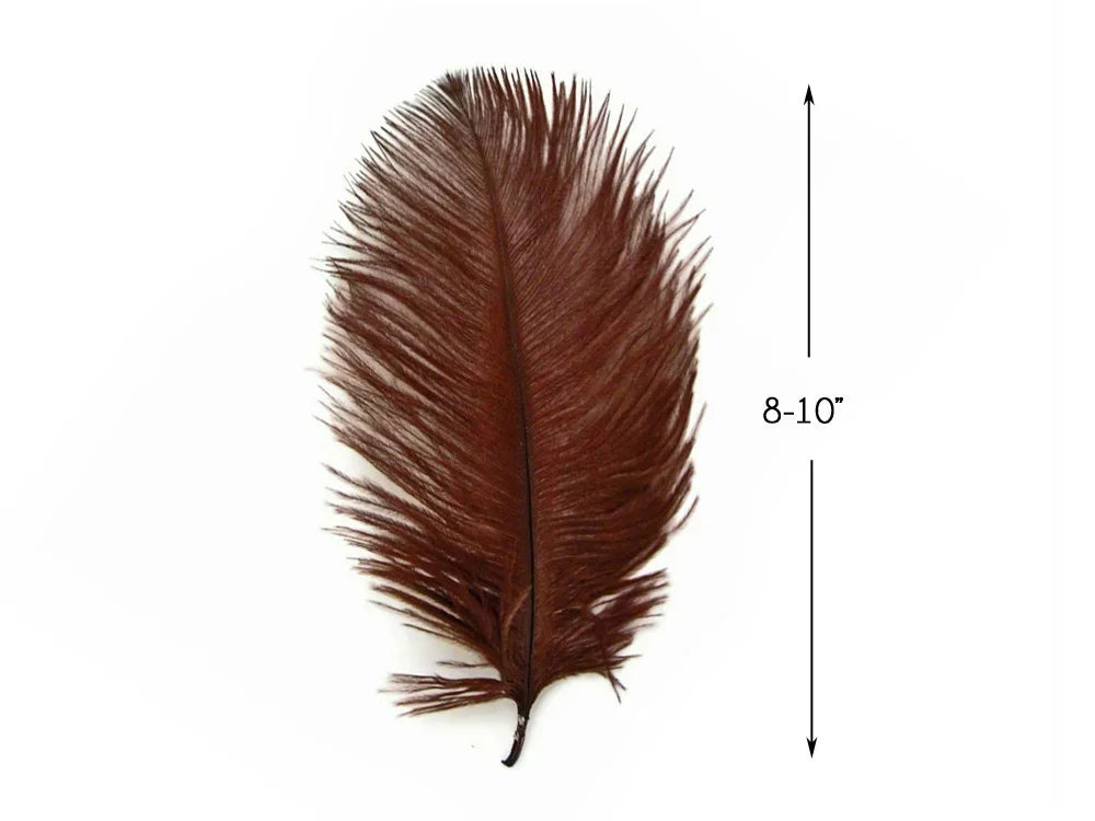 Single brown decorative feather, 8-10 inches long, for crafts and DIY fashion decor.