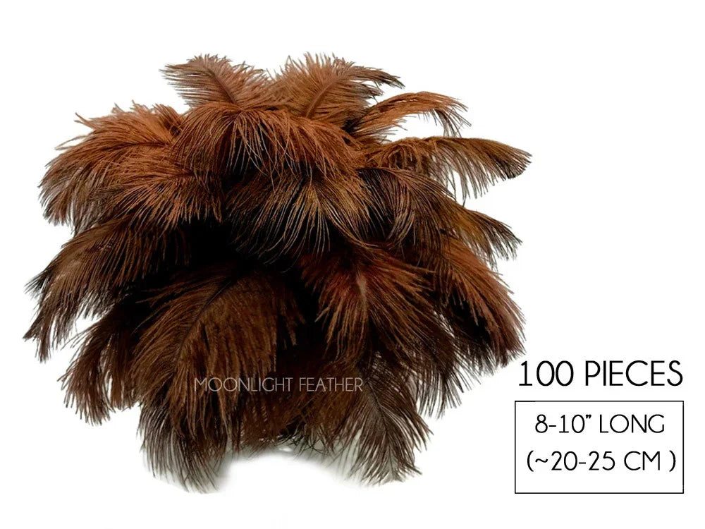 100 pieces of brown ostrich feathers, 8-10 inches long, for crafts and fashion decor.