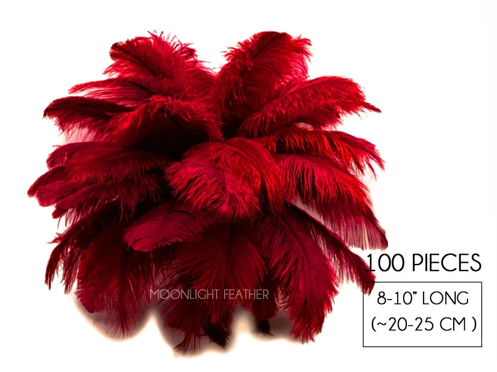 100 pieces of vibrant red ostrich feathers, 8-10 inches long for crafts and fashion decor.