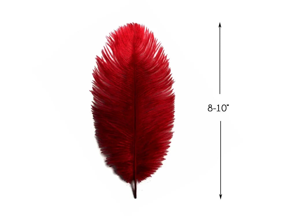Large vibrant red feather for crafts and fashion decor, 8-10 inches in length.