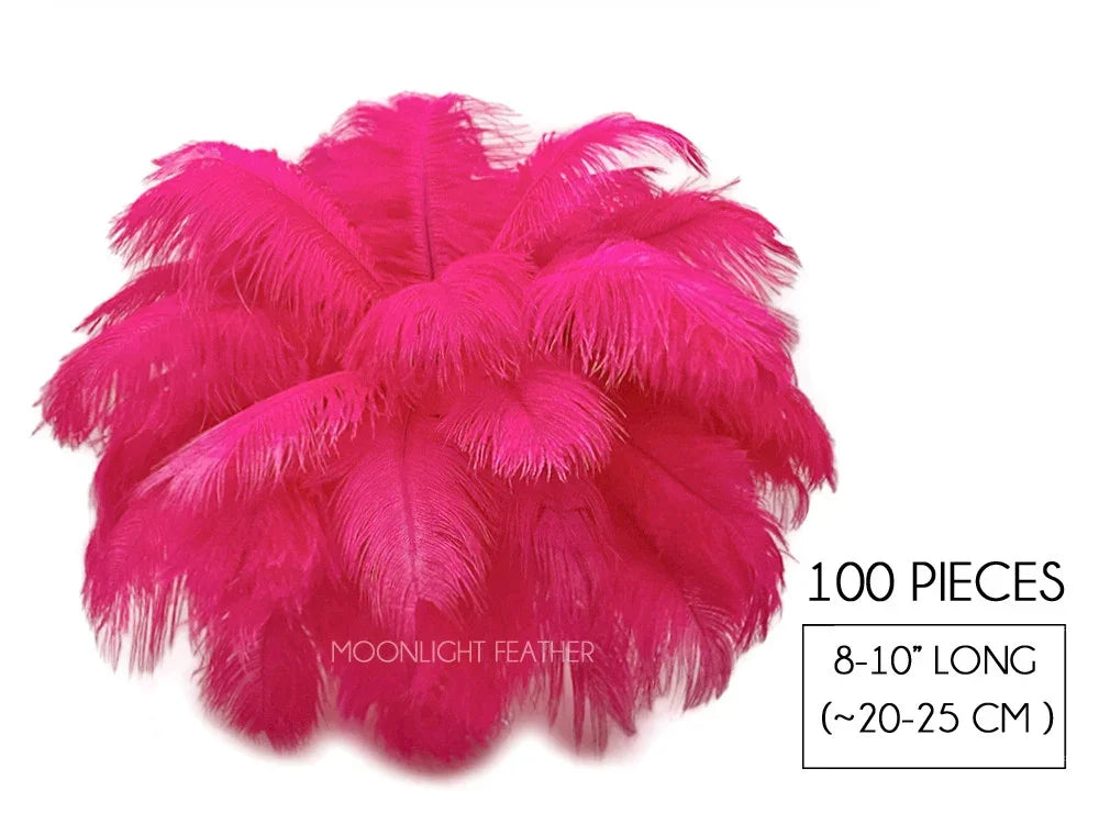 100 pieces of bright pink ostrich feathers, 8-10 inches long for crafts and fashion decor.
