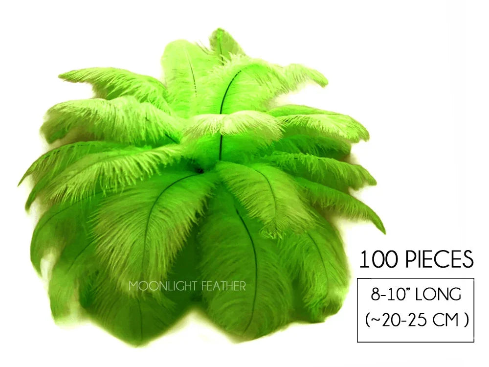100 pieces of bright lime green ostrich feathers, 8-10 inches long for DIY crafts and decor.