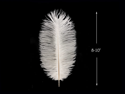 10 Pieces - 8-10" Bleached Off White Ostrich Dyed Drabs Feathers