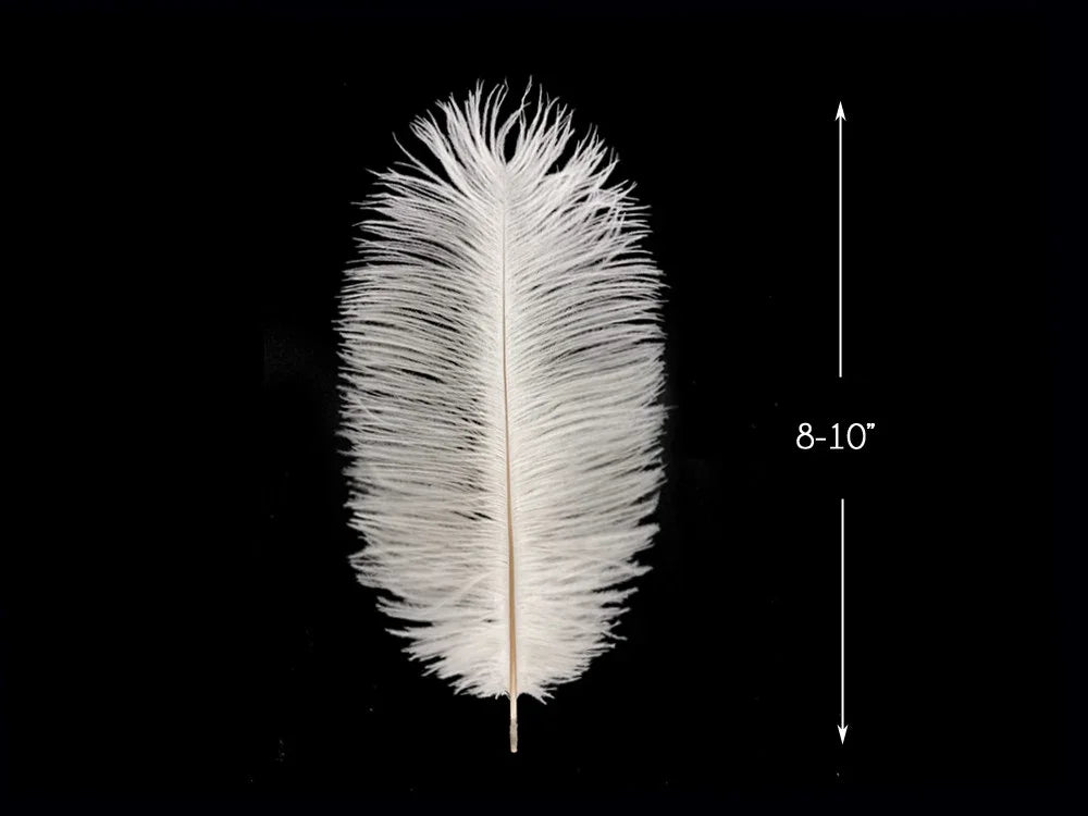 Single white ostrich feather for crafts and fashion decor, 8-10 inches in length.