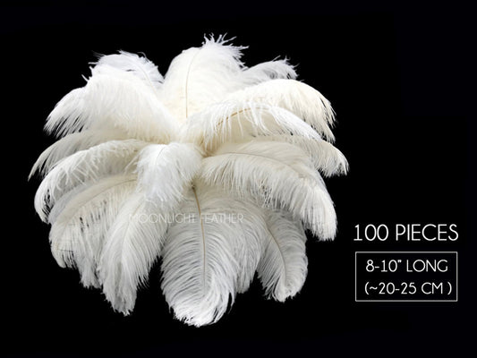 100 Pieces - 8-10" Bleached Off White Ostrich Drab Body Wholesale Feathers (Bulk)