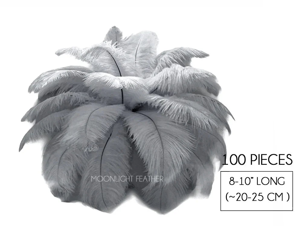 100 pieces of white ostrich feathers, 8-10 inches long for crafts and fashion decor