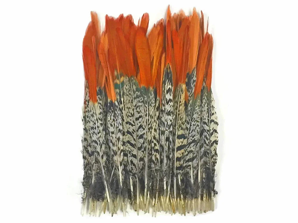 Vibrant orange and patterned grey feathers for DIY crafts and fashion decor.