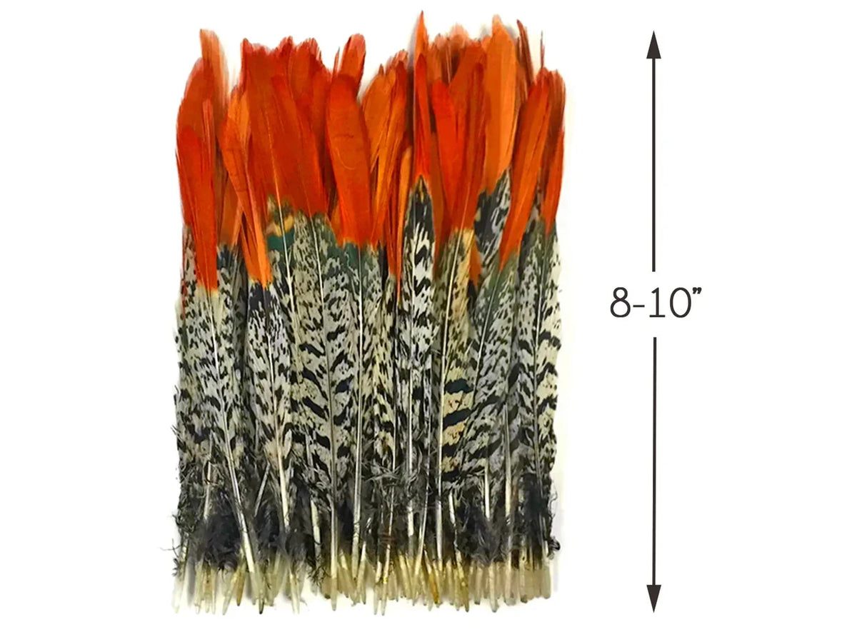 8-10 inch orange and speckled patterned feathers for crafts and fashion decor