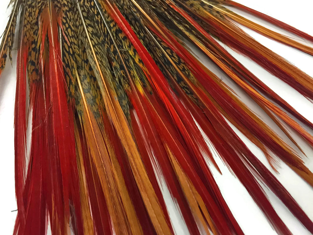 10 Pieces - 10-12" Natural Red Golden Pheasant Red Tip Loose Pointy Feathers