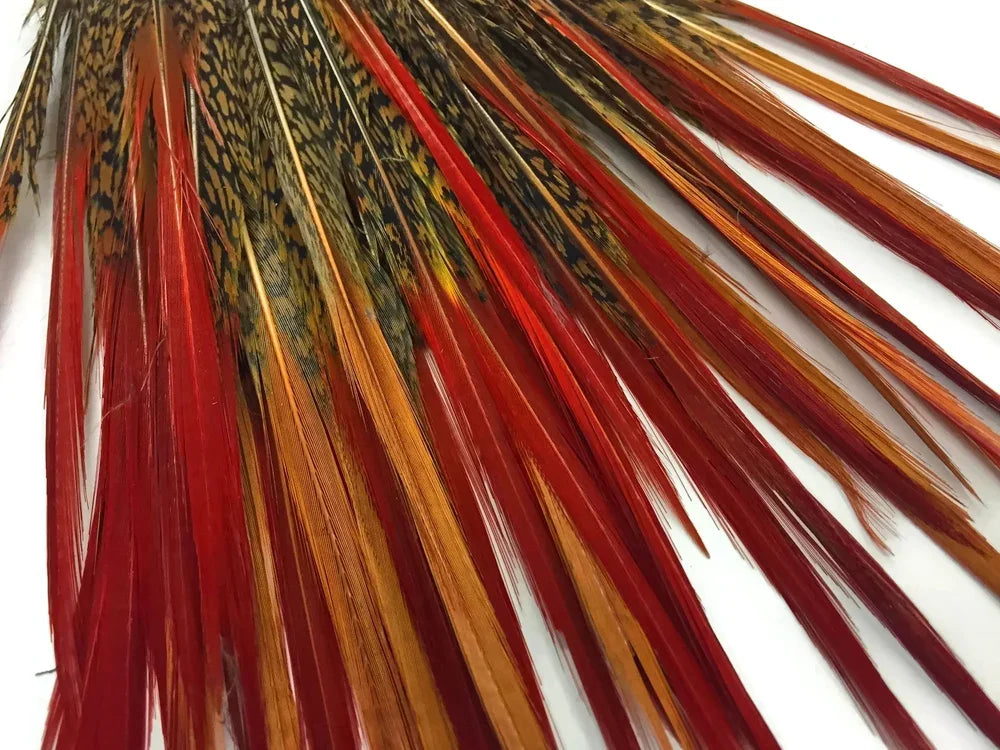 10 Pieces - 6-8" Natural Red Golden Pheasant Red Tip Loose Pointy Feathers