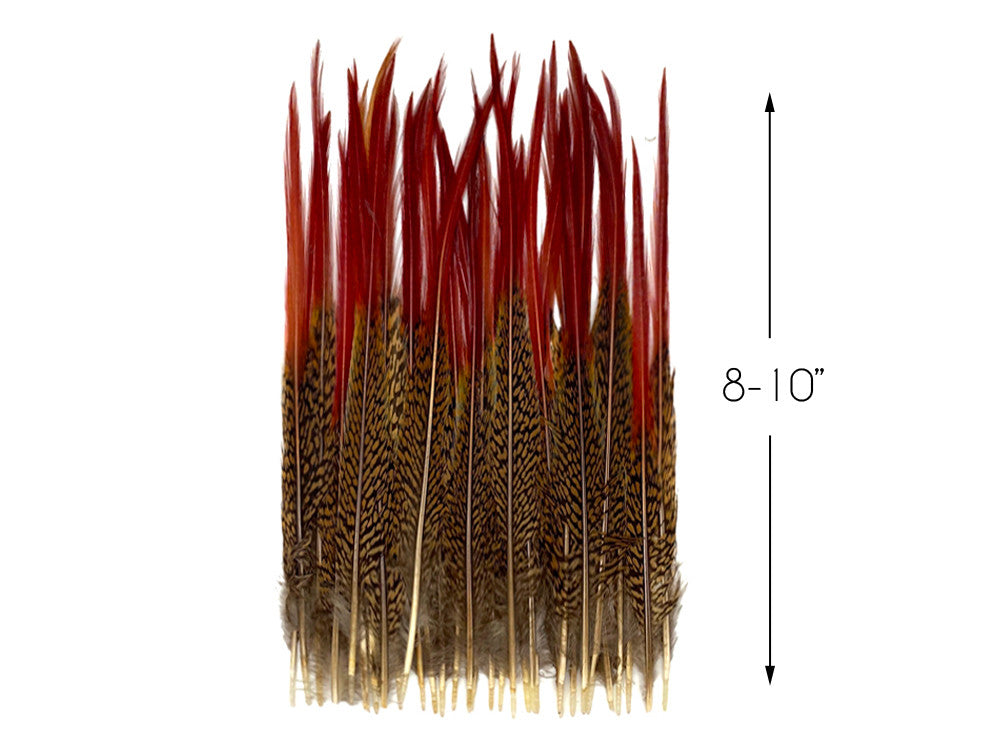 10 Pieces - 8-10" Natural Red Golden Pheasant Red Tip Loose Pointy Feathers