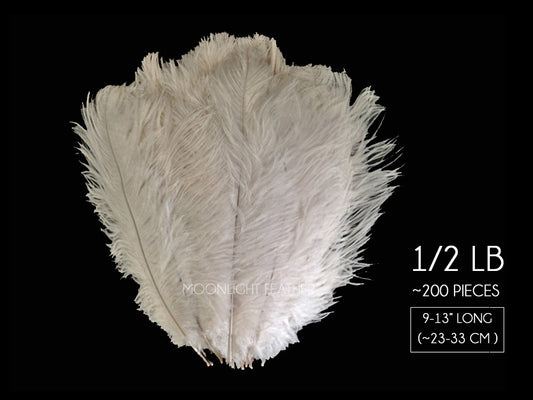 1/2 Lb. - 9-13" Off White Bleached Ostrich Body Drab Wholesale Feathers (Bulk)