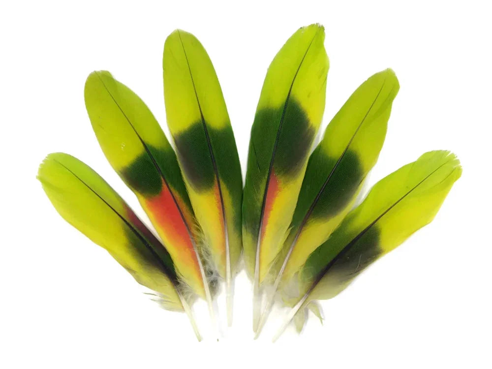 Vibrant yellow, green, and red tropical feathers for DIY crafts and fashion decor.