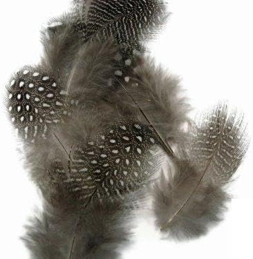 10 Pieces - Natural Black & White Polka Dot Guinea Fowl Wing Quill Feathers