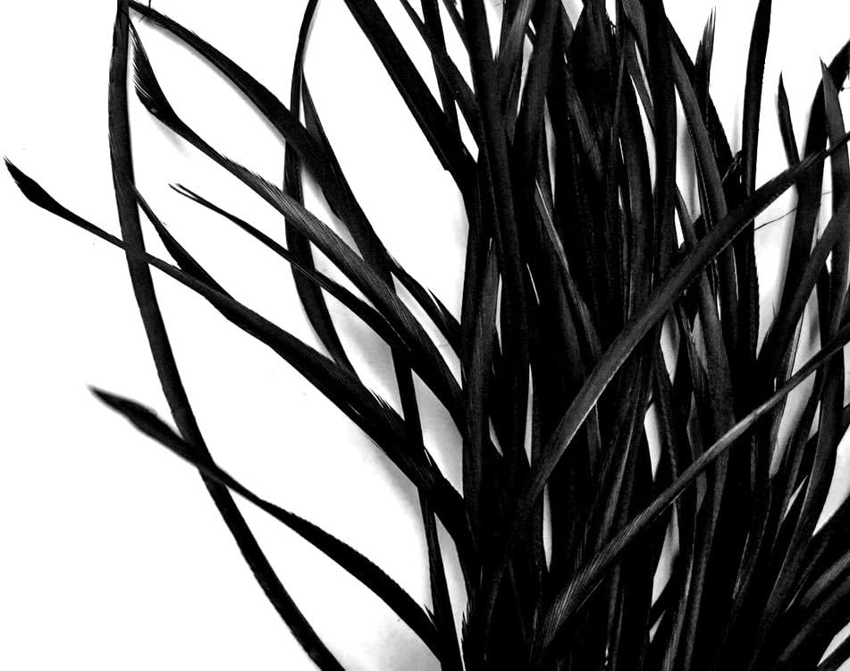 1 Yard - Black Goose Biots Stripped Wing Wholesale Feather Trim