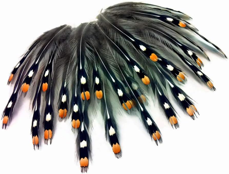 10 Pieces - Natural Gold Jungle Cock Big Eye Loose Feather